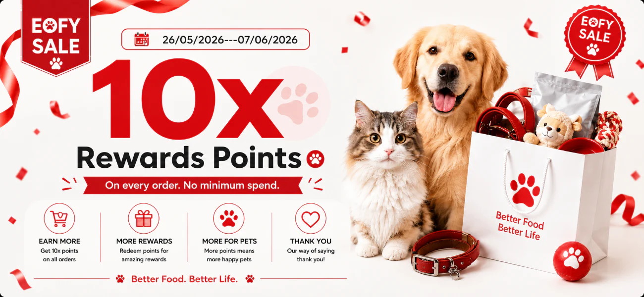 Elevate Your Pet's Lifestyle
